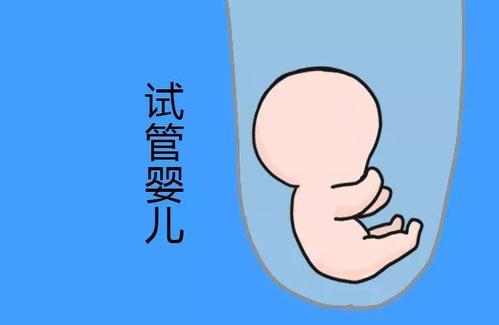 陈鎏主任
